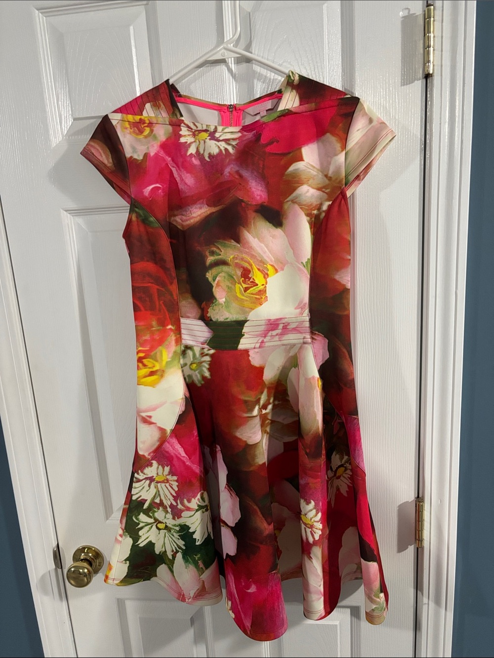 Ted Baker London Floral Fit-and-Flare Dress in Pink, Red and Green